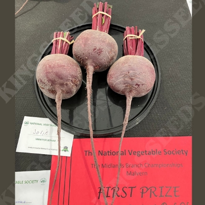 Picture of Beetroot Jolie F1